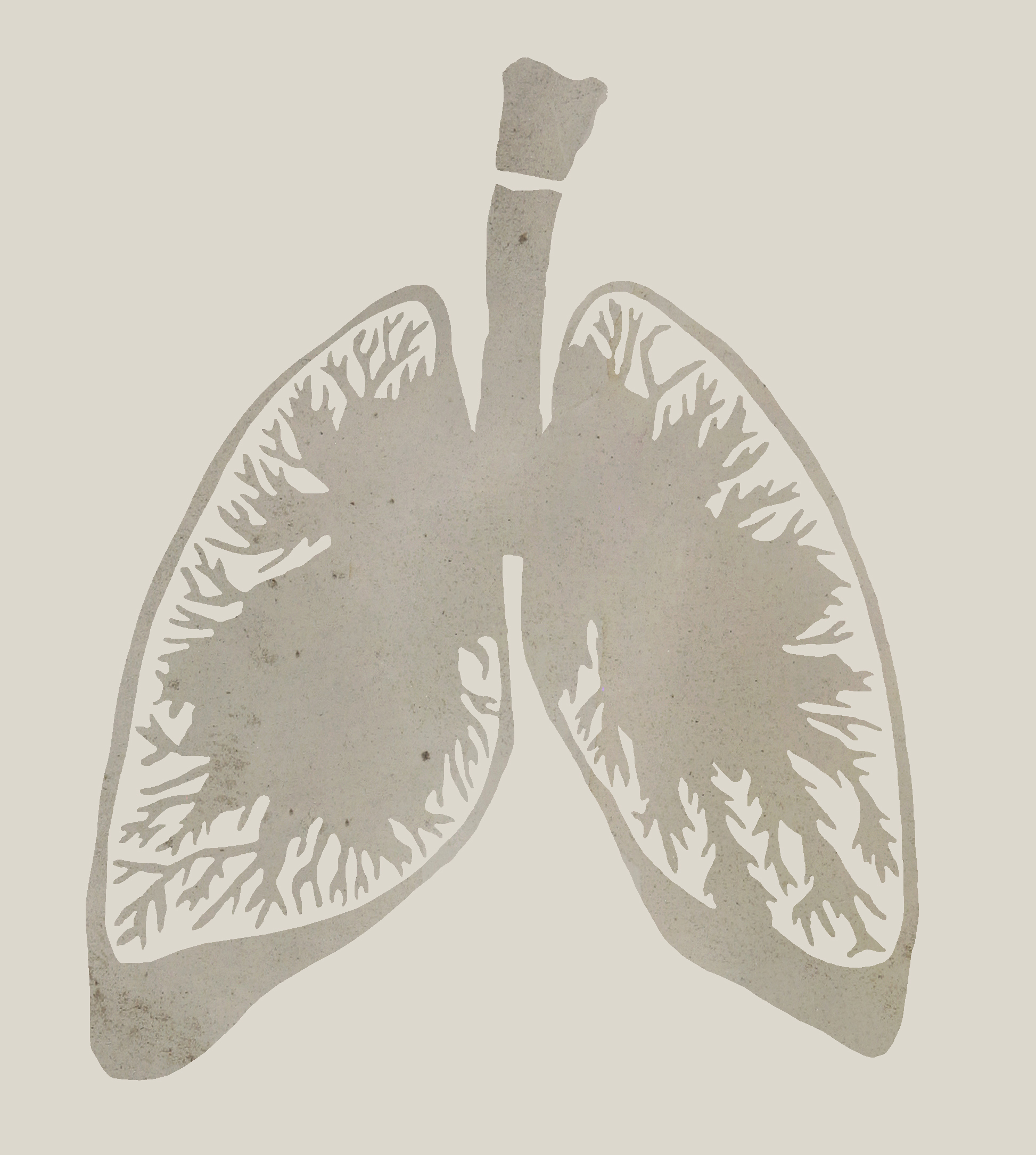 Lungs_SMALL_2_rev4