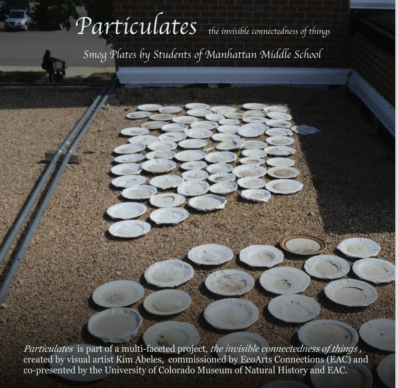 particulates cover