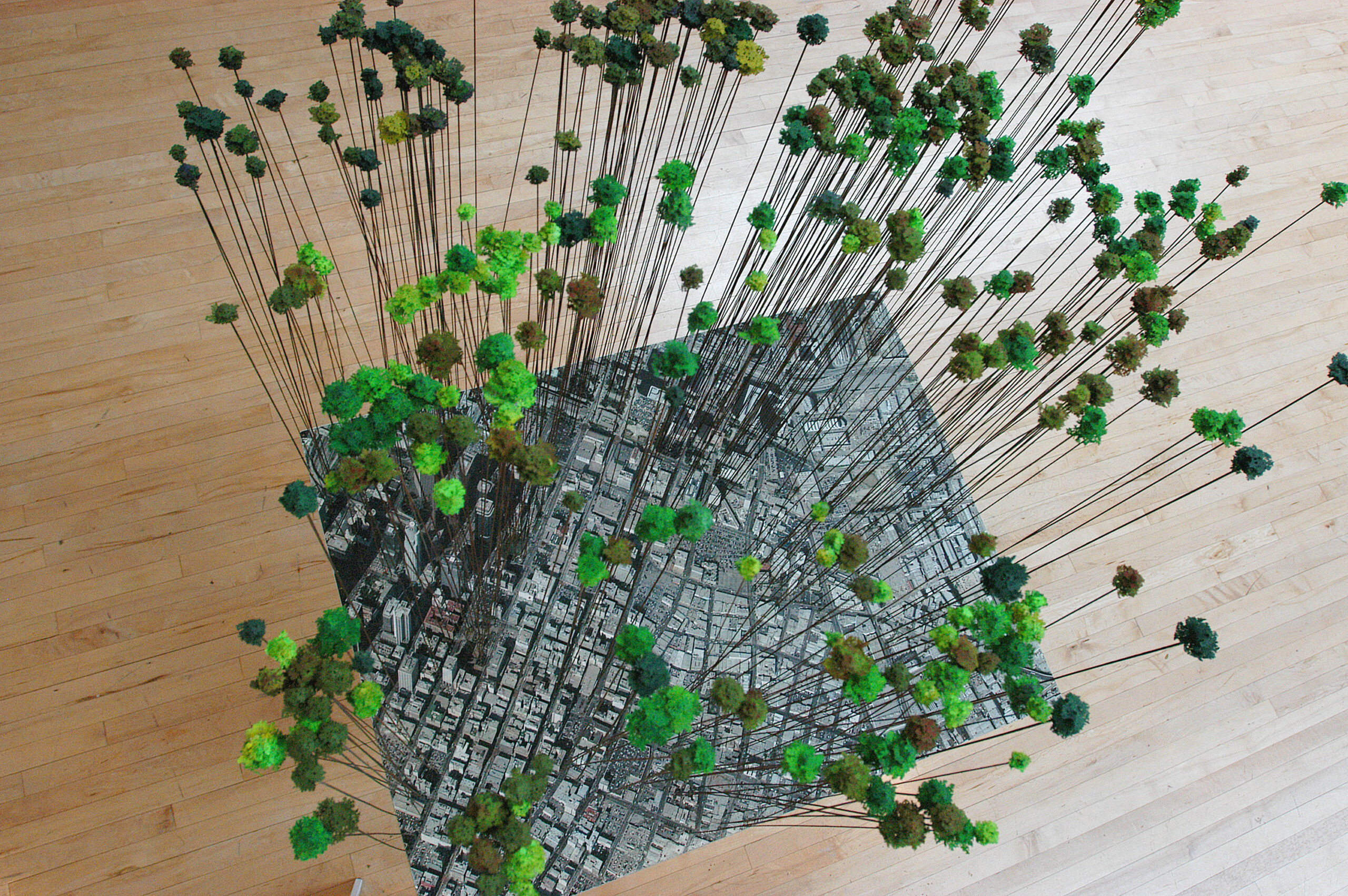 Kim Abeles, Looking for Paradise (Downtown Los Angeles) 2004 Aerial view of downtown LA with model trees indicating one tree for each tree actual tree