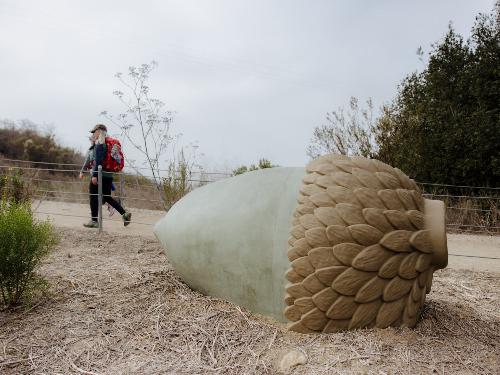 Kim Abeles, "Citizen Seeds (Ode to the Coast Live Oak)," one of six mixed media sculptures along the Park to Playa Trail. Photo: Joyce Kim/New York Times