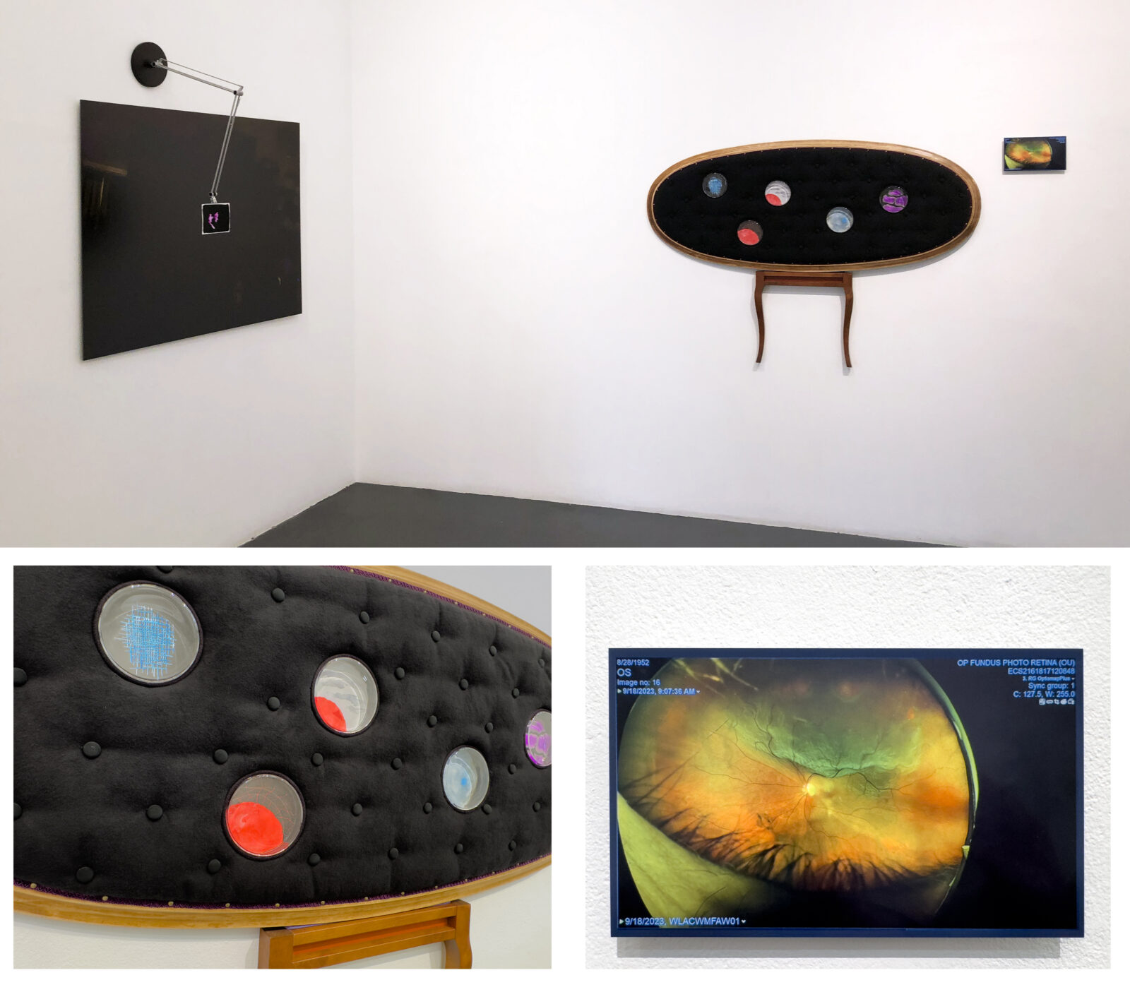 "Table|Chair (Blind Paintings)," gouache paintings of visions in Abeles' blind eye; glass petri dishes; Duvetyne (intended to be invisible for studio photography); tabletop; chair legs; retinal imagining on metal.